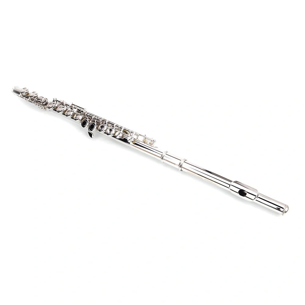 Nickel Plated C Closed Hole Concert Band Flute with E Key view 20